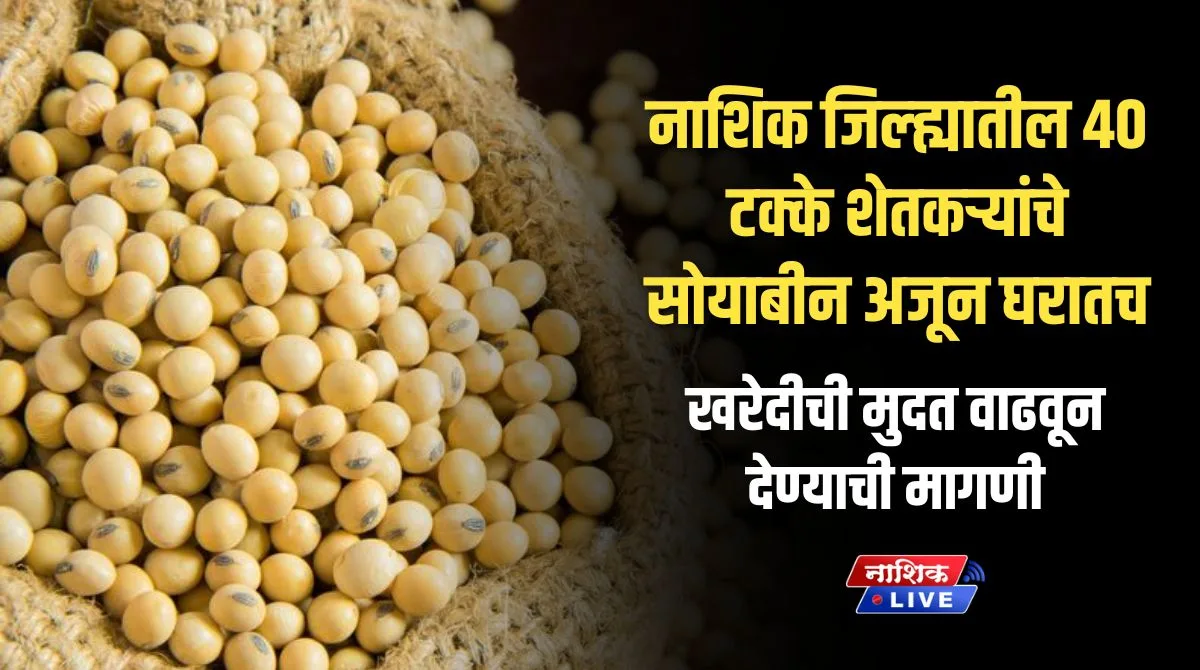 soya